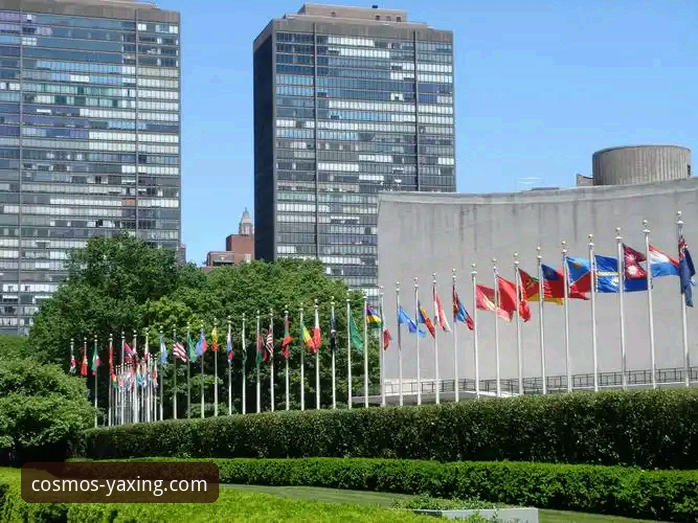 亚星体验使用指南 为什么阿根廷新星的伤退,让资深用户更看重亚星体验使用指南的稳定性?